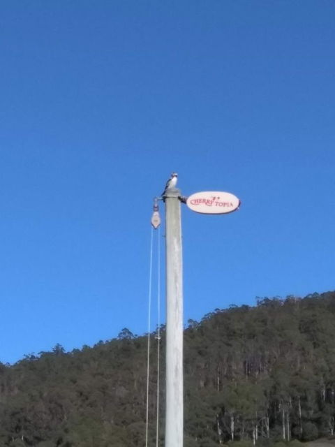 Cherry Top Farmstay - Boutique Eco Village - Great Ocean Road Tourism 21