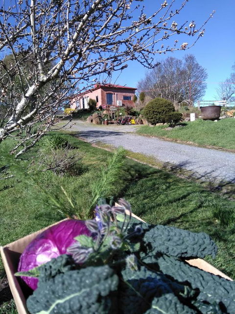 Cherry Top Farmstay - Boutique Eco Village - Great Ocean Road Tourism 23