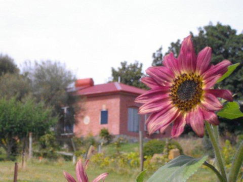 Cherry Top Farmstay - Boutique Eco Village - Great Ocean Road Tourism 27