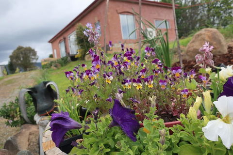 Cherry Top Farmstay - Boutique Eco Village - Great Ocean Road Tourism 7