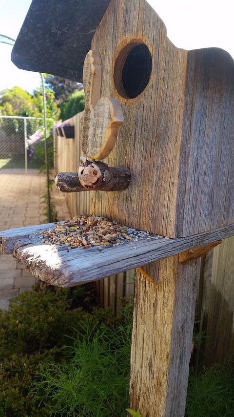 Driftwood-Cottage - Great Ocean Road Tourism 29