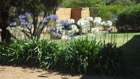 Pipe Clay Cottage - Great Ocean Road Tourism 44