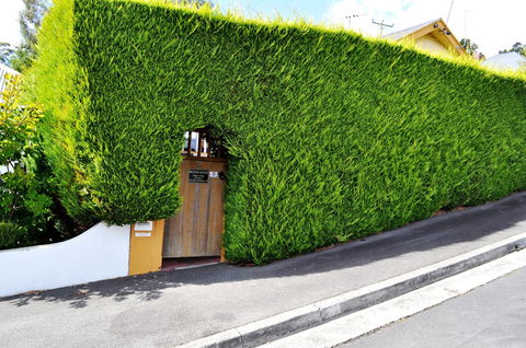 Belton Apartments-Hedge Cottage - Great Ocean Road Tourism 13