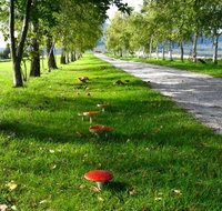 Plovers Ridge Country Retreat - Great Ocean Road Tourism