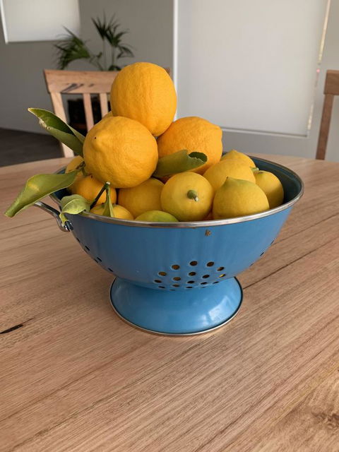 Anchorage Tasmania - Great Ocean Road Tourism 21