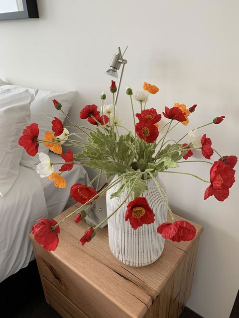 Anchorage Tasmania - Great Ocean Road Tourism 3