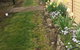 Our Cottage - thumb 1