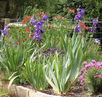 Karoola Cottage Self Contained - Great Ocean Road Tourism