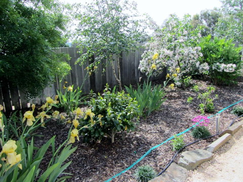 Elm Trees Accommodation @ Ross - Great Ocean Road Tourism 6