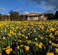 Mountain Blue Guest House - Great Ocean Road Tourism