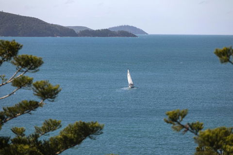 NEW Northcape 1 Ocean Front 2 Bedroom Choose Between 2 Properties - Great Ocean Road Tourism 2