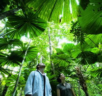 NRMA Cairns Holiday Park - Great Ocean Road Tourism