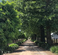 Oak Lane Guest House  Farm Stay