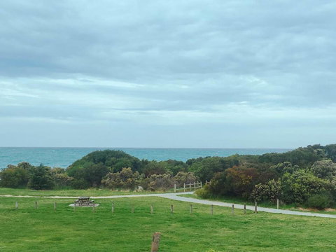 ODYSSEY APOLLO BAY - Great Ocean Road Tourism 2