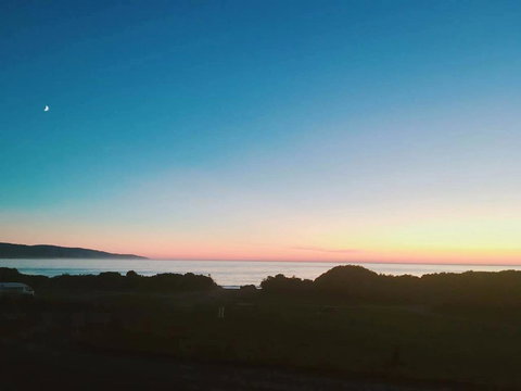 ODYSSEY APOLLO BAY - Great Ocean Road Tourism 1