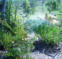 Old Miners' Cottages Bed and Breakfast - Great Ocean Road Tourism