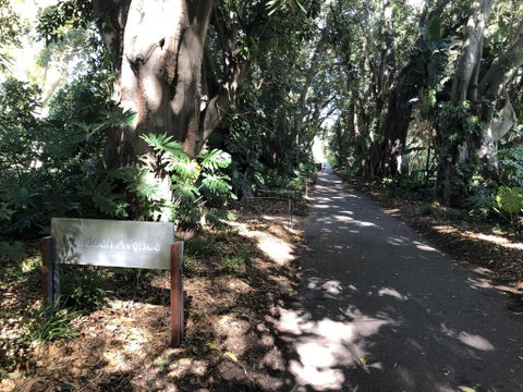 One Bedroom Cottage Close To Adelaide CBD - Great Ocean Road Tourism 3