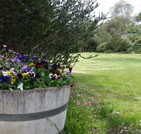 Padthaway Caravan Park - Great Ocean Road Tourism