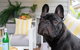 Palm Beach Cottage - thumb 2