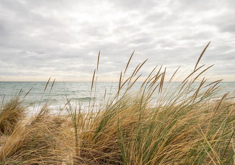 Palm Beach Cottage - Great Ocean Road Tourism 1