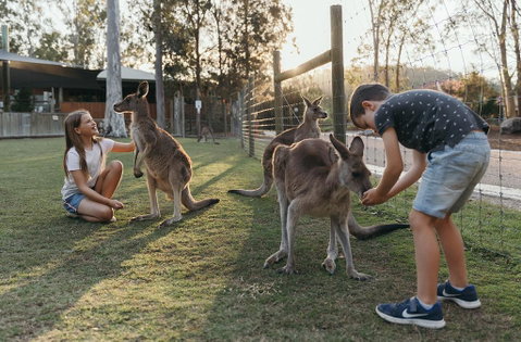 Paradise Country Farmstay - Great Ocean Road Tourism 1