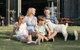 Paradise Country Farmstay - thumb 2