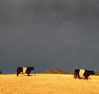 Peppertree Hill - Great Ocean Road Tourism