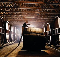 Pieter van Gent Winery  Vineyard - Great Ocean Road Tourism