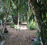 Rainforest Water Front River Shack Secluded. - Great Ocean Road Tourism