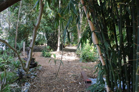 Rainforest, Water Front, River Shack, Secluded. - Great Ocean Road Tourism 0