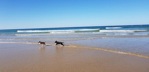 Red Door Beach House - Marcoola Beach - PET FRIENDLY, FOXTEL, WIFI, 500 BOND, Linen Supplied - Great Ocean Road Tourism 1
