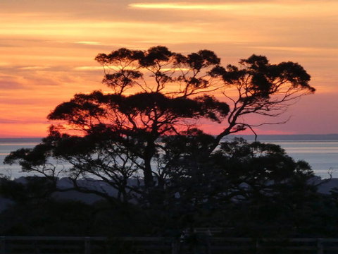 Red Hill Ridge - Great Ocean Road Tourism 1