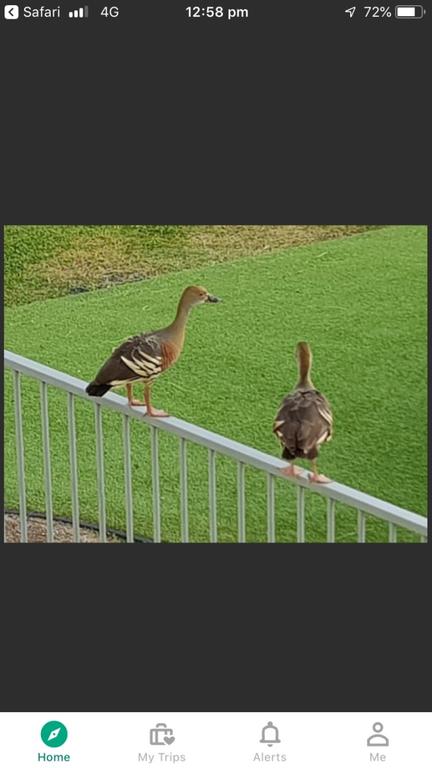 Resort Living - Great Ocean Road Tourism 3