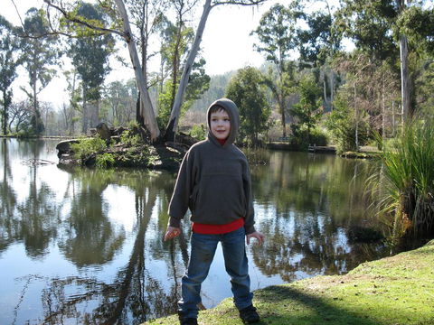 RiverCottage-selfcontained - Great Ocean Road Tourism 2