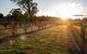 Riverview Farm & Guesthouse - thumb 3