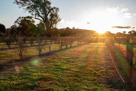 Riverview Farm & Guesthouse - Great Ocean Road Tourism 3