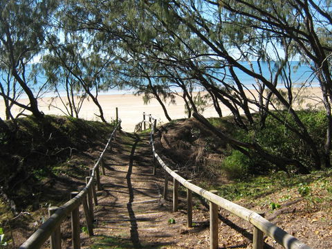 SeaEagles Beach Resort - Great Ocean Road Tourism 2