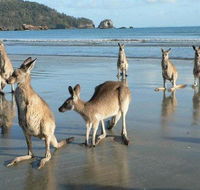 Seaforth Holiday Units - Great Ocean Road Tourism