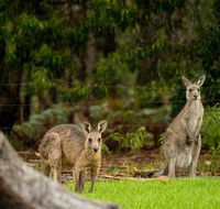 Secura Lifestyle Countryside Kalaru - Great Ocean Road Tourism