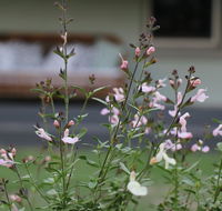 Serendipity on Allyn - Great Ocean Road Tourism