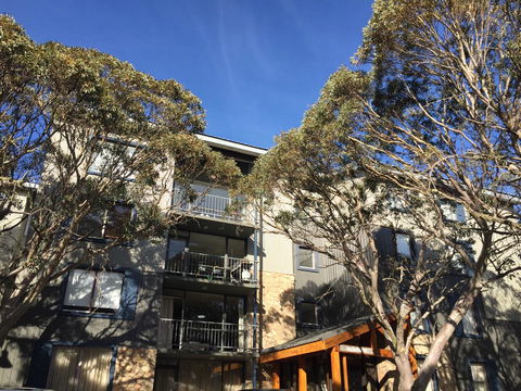 Snowflake 12 - Great Ocean Road Tourism 0