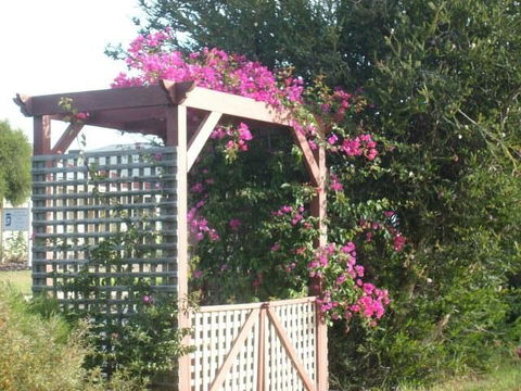 Southern Vales Bed & Breakfast - Great Ocean Road Tourism 3