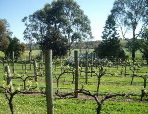 Southern Vales Bed & Breakfast - Great Ocean Road Tourism 1