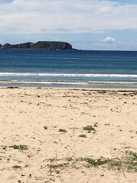 Surf Beach Holiday - Great Ocean Road Tourism 0
