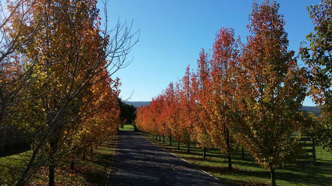 Tamar Valley Farm Stay - Great Ocean Road Tourism 3