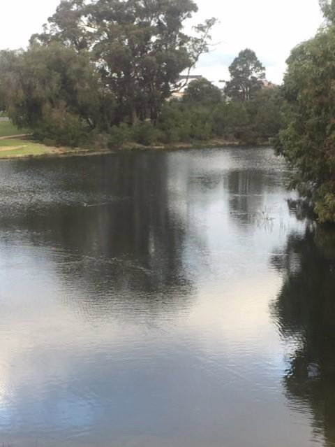 Telperon (2 Rooms, 3-4 Guests) - Great Ocean Road Tourism 3