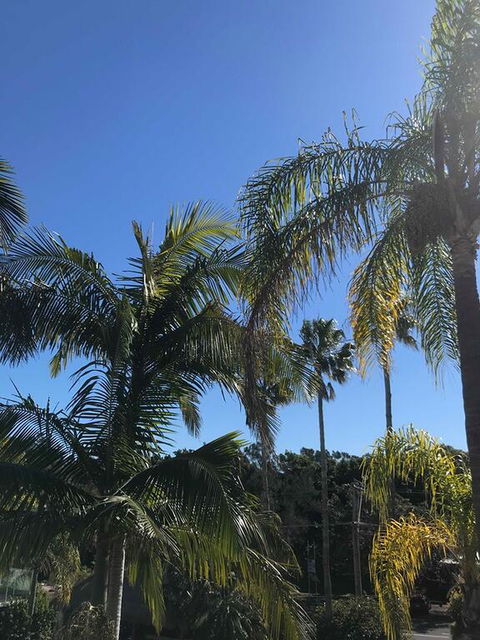 Terrigal Pacific Coastal Retreat - Great Ocean Road Tourism 3