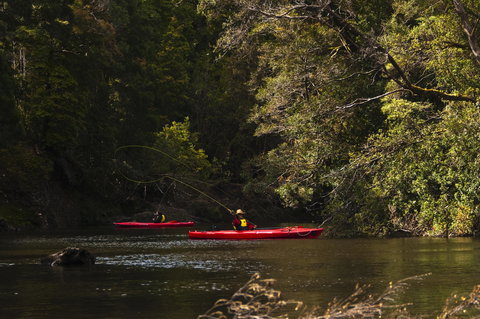 Corinna Wilderness Village - Great Ocean Road Tourism 38