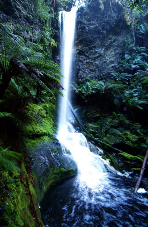 Corinna Wilderness Village - Great Ocean Road Tourism 40
