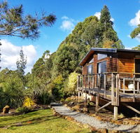 Southern Forest Accommodation - Great Ocean Road Tourism